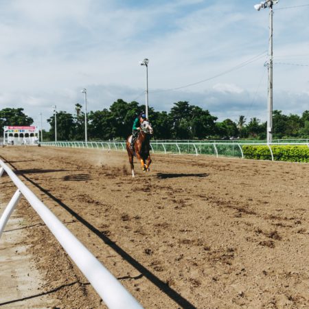 The Four Legs Of Horse Racing Betting
