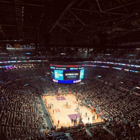 Getting Back To The Sports Betting Basics